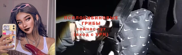крисы Вязники