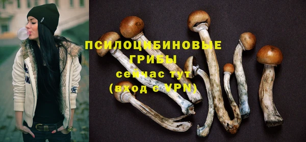 MDMA Вяземский